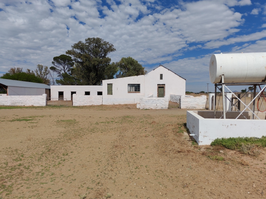 4 Bedroom Property for Sale in Steynsburg Eastern Cape